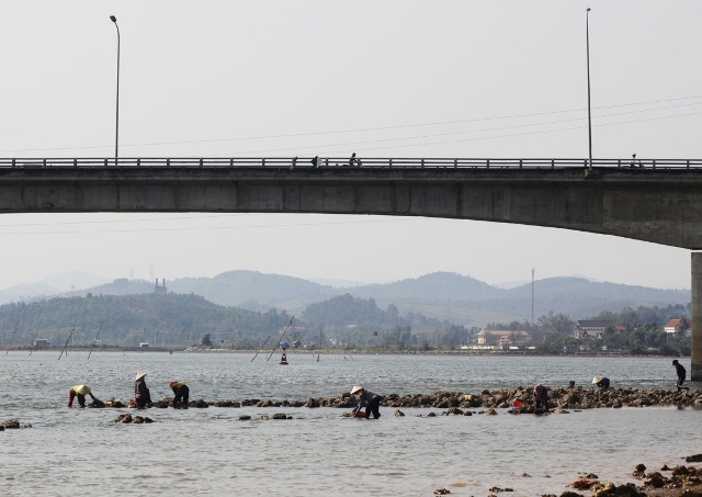 Săn thần dược tăng cường bản lĩnh đàn ông bên dòng sông Gianh-6