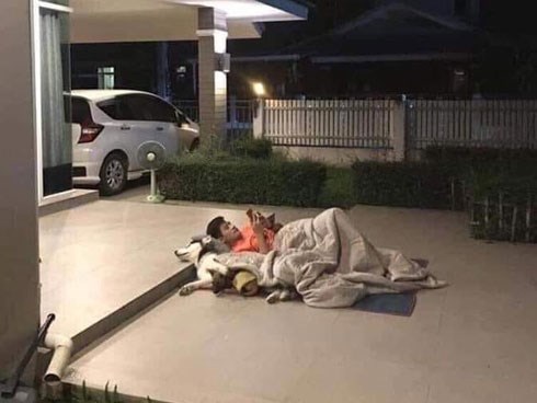 Giữa đêm, chồng mang chăn ra ngủ cùng 'bồ' giữa sân, vợ dở khóc dở cười khi biết lý do
