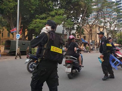 Chú mèo nhỏ