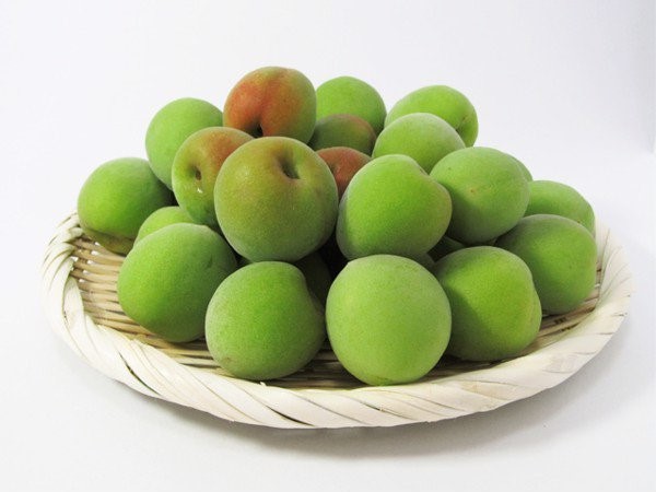 Gần 100.000 đồng/kg mơ xanh đầu mùa-1