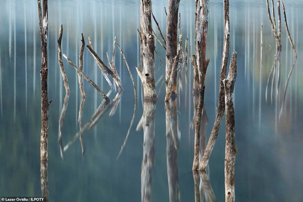 Thiên nhiên đẹp huyền ảo dưới tay nhiếp ảnh gia phong cảnh quốc tế-6