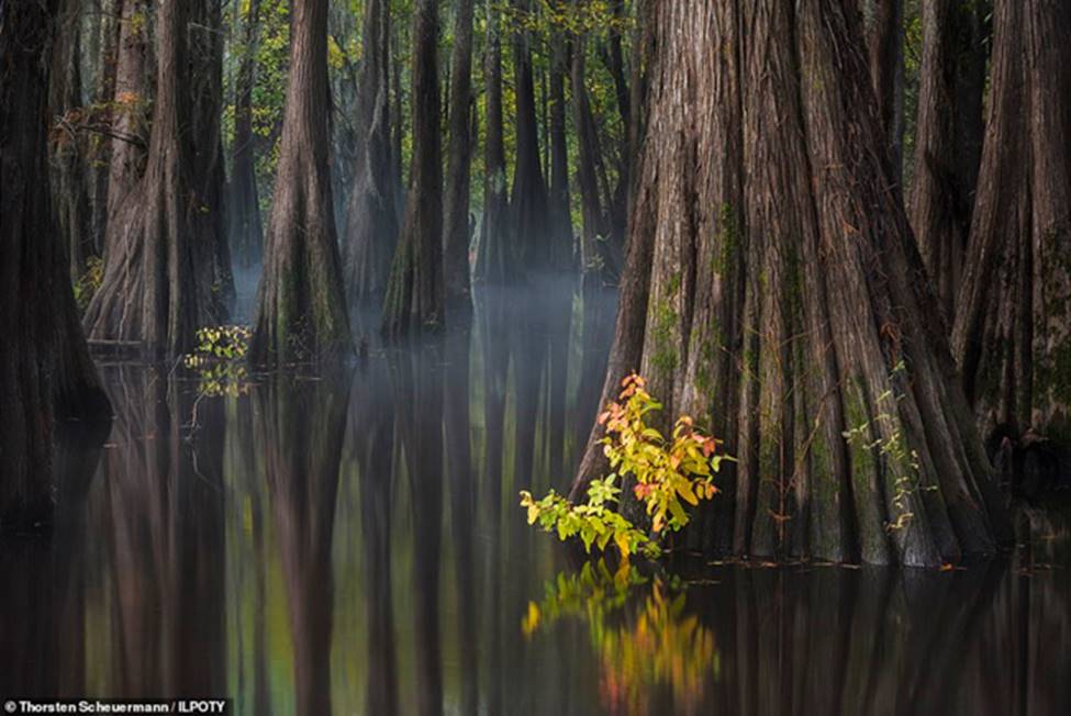Thiên nhiên đẹp huyền ảo dưới tay nhiếp ảnh gia phong cảnh quốc tế-9