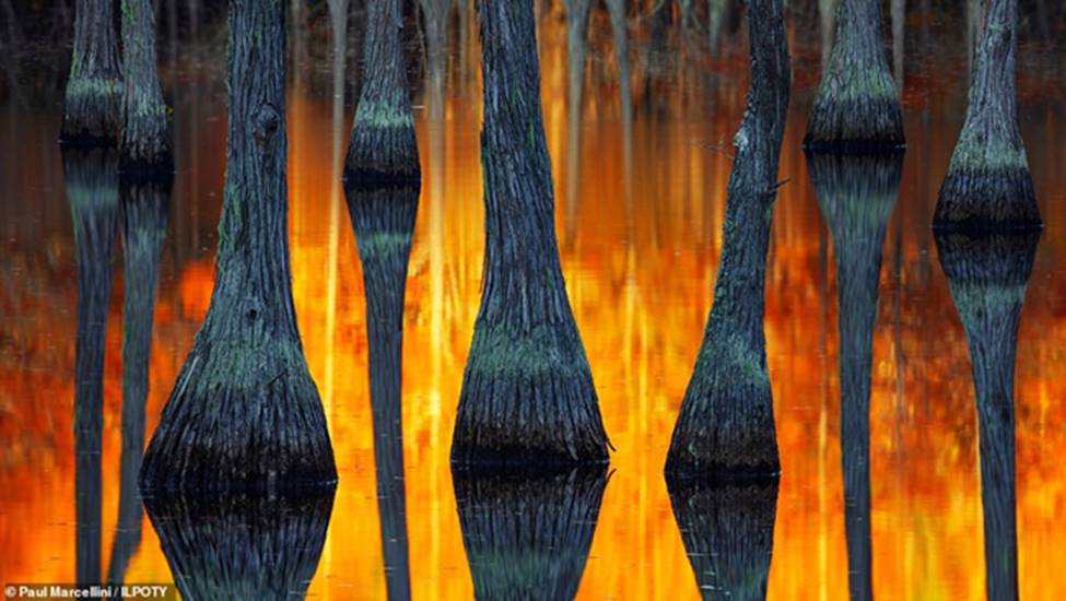 Thiên nhiên đẹp huyền ảo dưới tay nhiếp ảnh gia phong cảnh quốc tế-12