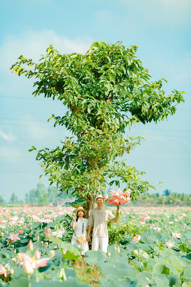 Đã lùng ra địa chỉ cánh đồng sen rộng bát ngát tại An Giang: Thiên đường sống ảo là đây chứ đâu nữa!-3
