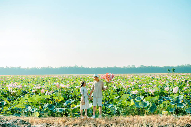 Đã lùng ra địa chỉ cánh đồng sen rộng bát ngát tại An Giang: Thiên đường sống ảo là đây chứ đâu nữa!-5