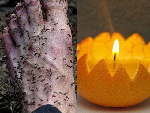 Hô biến cốc chén xỉn màu trở nên trắng tinh như mới sau 2 phút nhờ thứ mạnh gấp 10 lần xà phòng-2