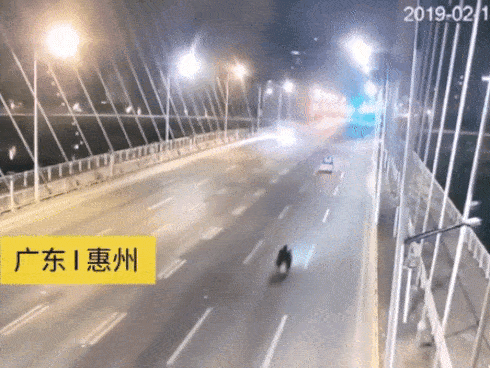 Lamborghini Huracan đâm xe máy ở vận tốc 160 km/h