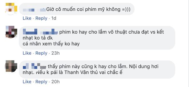 Chiêu cao của Ngô Thanh Vân: Điều gì ẩn sau vụ Hai Phượng vươn ra Hollywood nhưng nhiều fan Việt vẫn chê dở?-2