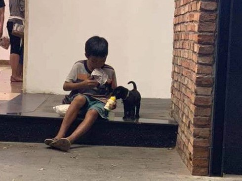 Câu chuyện về cậu bé đường phố chia sữa cho chú chó nhỏ khiến dân mạng suy ngẫm về giá trị của tình yêu thương