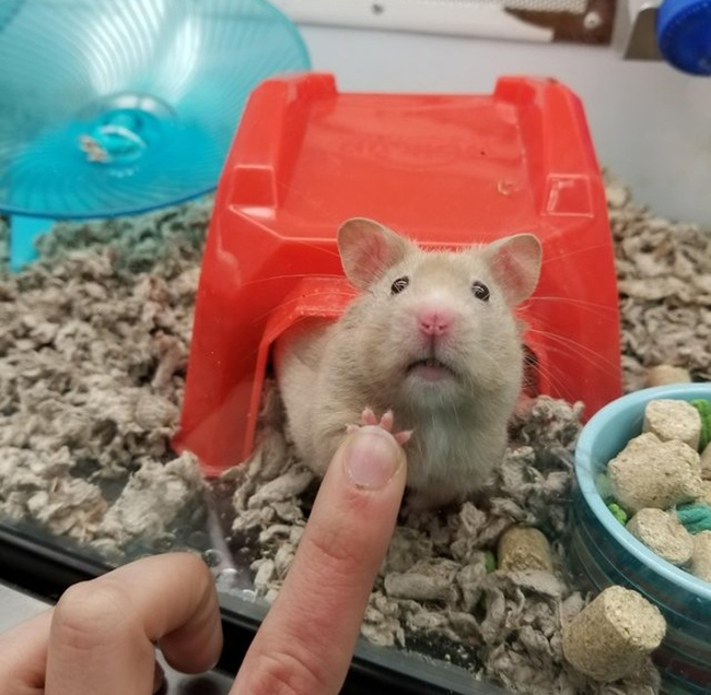 Bất ngờ trước những bức ảnh trùng hợp tình cờ đến khó tin-10