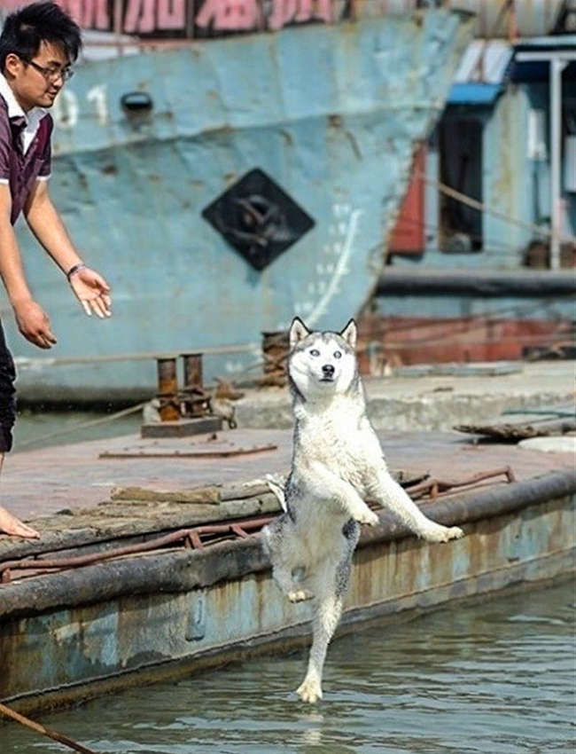 Bất ngờ trước những bức ảnh trùng hợp tình cờ đến khó tin-7