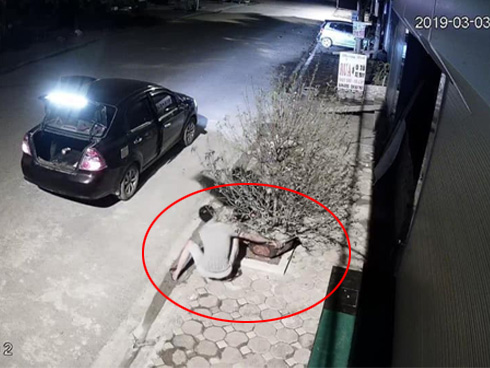 Cặp đôi đánh ô tô trộm đào lúc nửa đêm: 1 ngày sau, vợ đeo khẩu trang trả cây đã được tỉa gọn về vị trí cũ-2