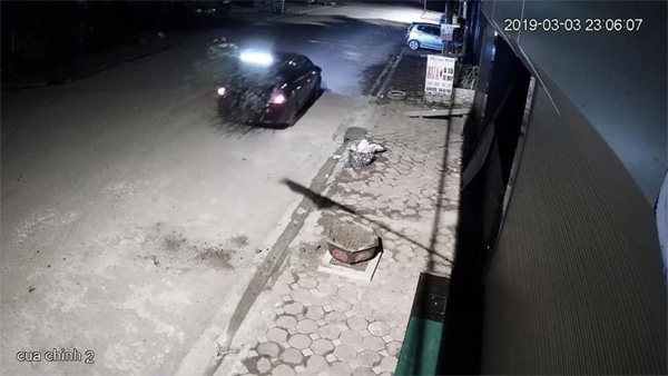 Bắc Giang: Đôi nam nữ đi xế hộp chung tay bê trộm cây đào rồi lặn mất trong đêm khuya thanh vắng-3