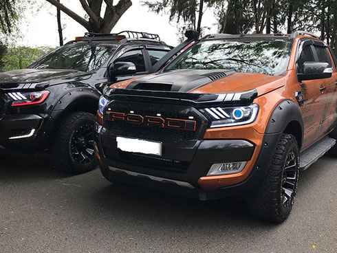 Trước giờ quyết định, ô tô bán tải cháy hàng-3