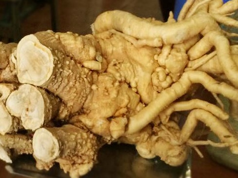 Hoa đào không chỉ dùng để làm cảnh, bạn hoàn toàn có thể sử dụng làm thuốc chữa bệnh theo nhiều cách-6