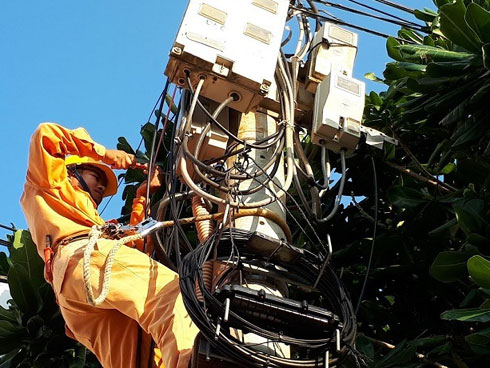 Giá điện tăng, xăng lên mạnh: Đắt đỏ mớ rau con cá , lo mâm cơm nhà dân-3