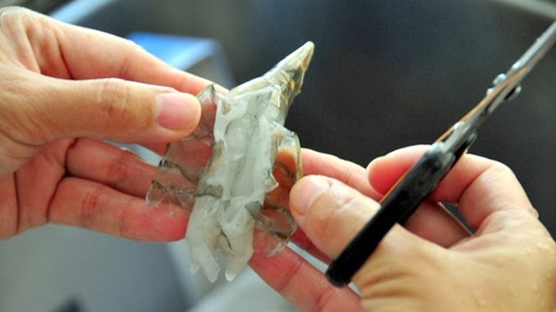 Người bán hải sản lâu năm lý giải: Ăn tôm có phải rút bỏ sợi chỉ đen ra hay không?-4