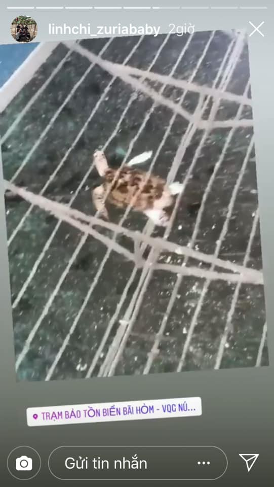 Hậu ồn ào tình cảm, Linh Chi khoe ảnh đi du lịch, vui vẻ tận hưởng những giây phút bình yên-4