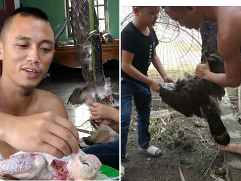 Công an, kiểm lâm làm việc với anh em Tam Mao TV về thông tin thịt chim trong sách đỏ-3