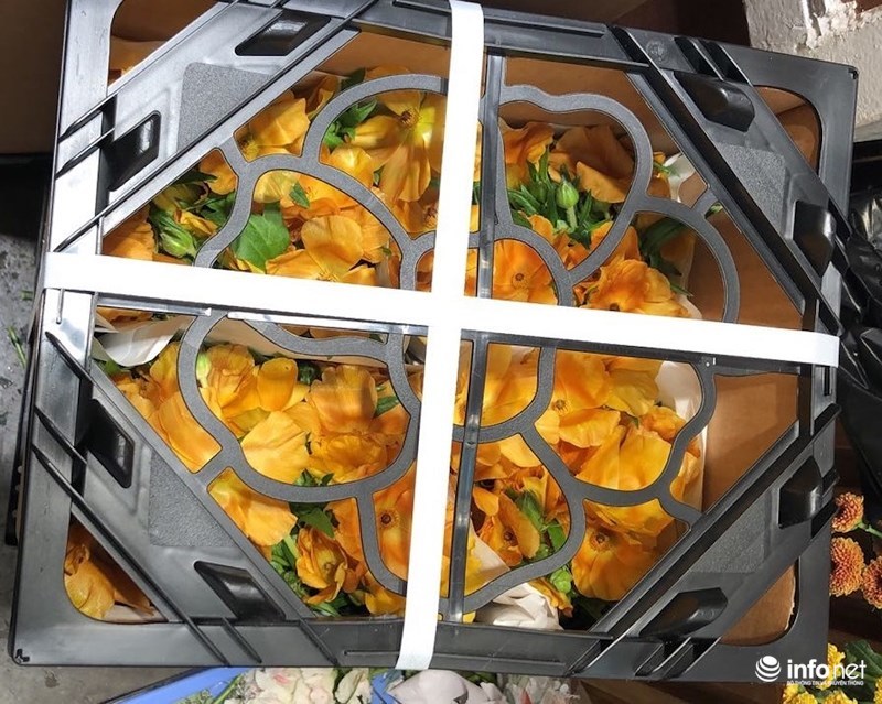 Lạ mắt hoa hồng màu nâu đất, mao lương lần đầu bán ở VN dịp 8/3-5