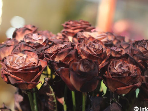 Hàng ăn chật kín khách 8/3: Chạy 9 nơi, xin trả thêm tiền vẫn đành bó tay-3