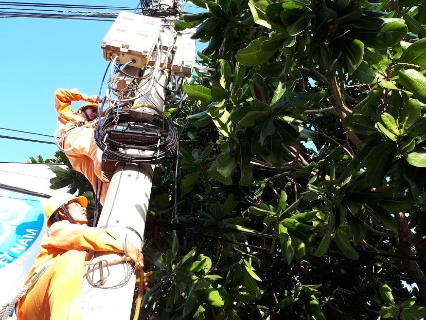 Giá điện tăng, xăng lên mạnh: Đắt đỏ mớ rau con cá , lo mâm cơm nhà dân-1