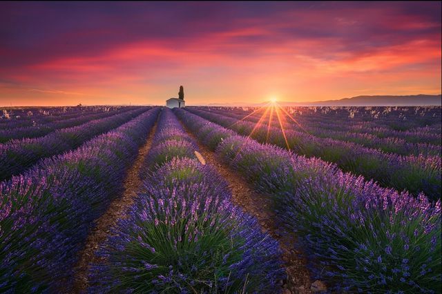 Nhiếp ảnh gia chụp ảnh siêu đẹp đến mức người xem tưởng lầm là... ảnh giả-6