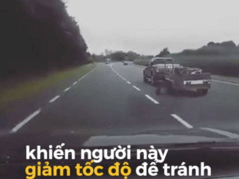 Ngón tay tử thần: Hiện tượng kỳ lạ giết chết hàng loạt sinh vật biển-1