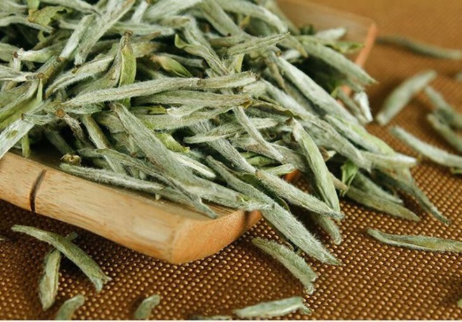Uống trà trắng đem lại quá nhiều công dụng tuyệt vời cho sức khỏe!-3