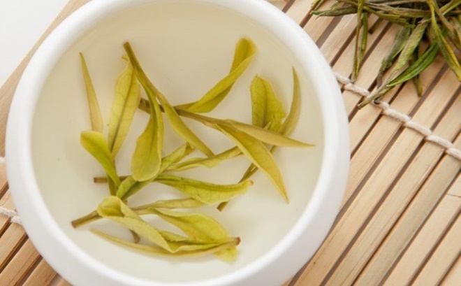 Uống trà trắng đem lại quá nhiều công dụng tuyệt vời cho sức khỏe!-4