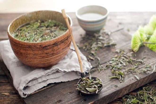 Uống trà trắng đem lại quá nhiều công dụng tuyệt vời cho sức khỏe!-5