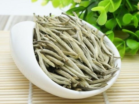 Uống trà trắng đem lại quá nhiều công dụng tuyệt vời cho sức khỏe!