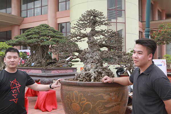 Ngắm tuyệt phẩm mai chiếu thủy tiền tỷ khiến giới chơi cây cũng phải trầm trồ-11