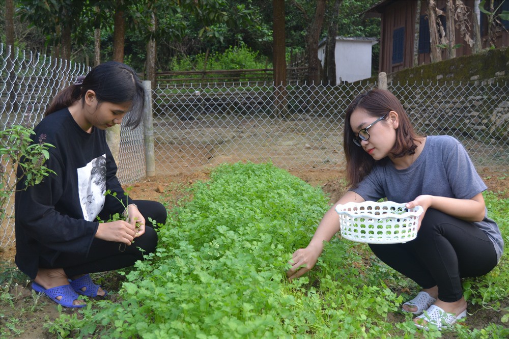 Những cô giáo trẻ cắm bản nơi đại ngàn sông Giăng-6