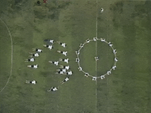 Video: Học sinh mô phỏng quá trình thụ tinh khiến dân mạng cười ngất