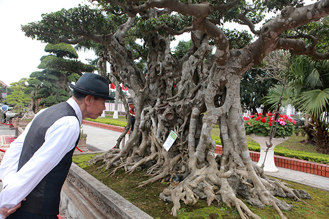 Song sanh 15 tỷ của đại gia Hà Nội đẹp tới mức nào?-12