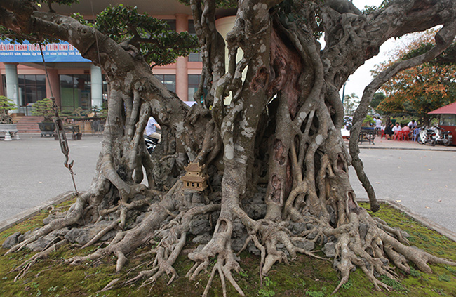 Song sanh 15 tỷ của đại gia Hà Nội đẹp tới mức nào?-13