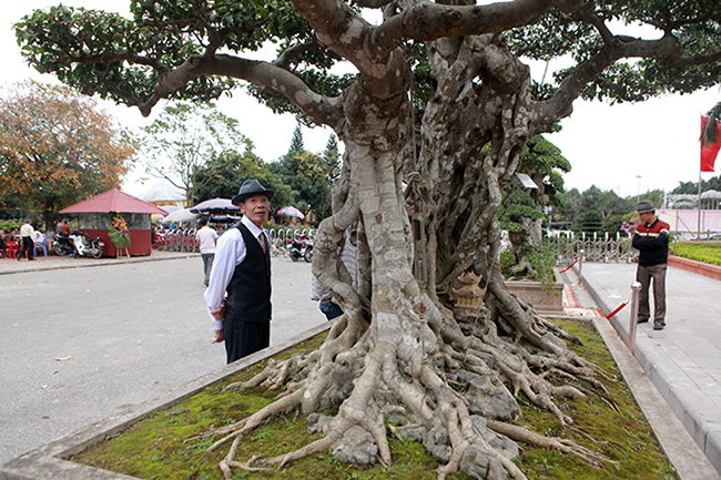 Song sanh 15 tỷ của đại gia Hà Nội đẹp tới mức nào?-15