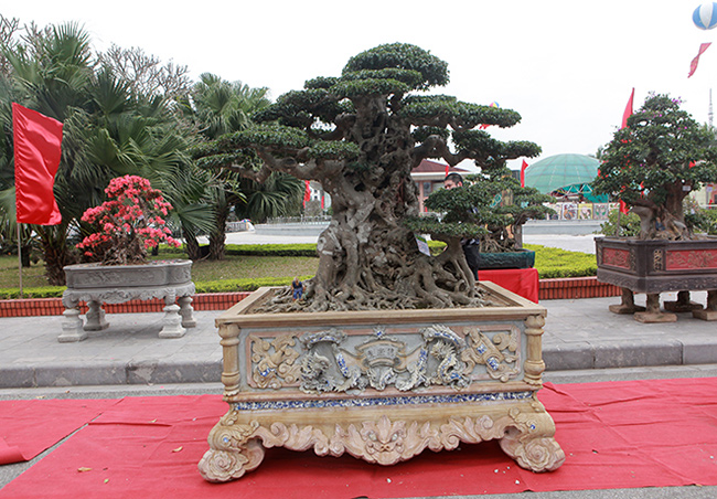 Song sanh 15 tỷ của đại gia Hà Nội đẹp tới mức nào?-2