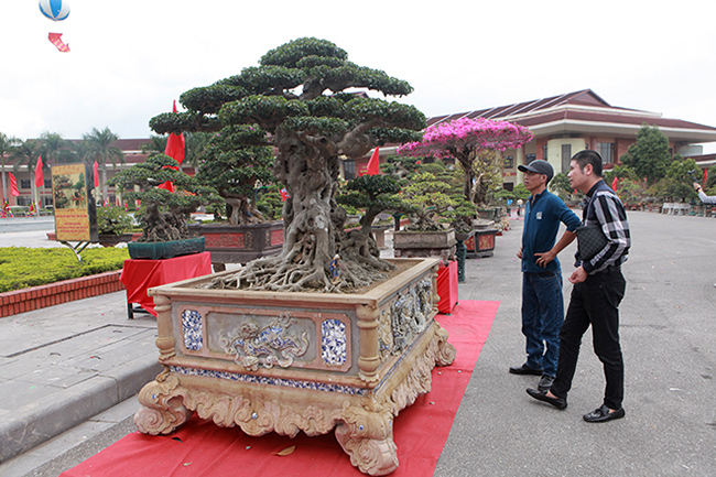 Song sanh 15 tỷ của đại gia Hà Nội đẹp tới mức nào?-3