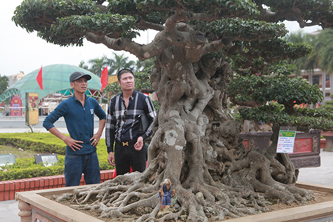 Song sanh 15 tỷ của đại gia Hà Nội đẹp tới mức nào?-5