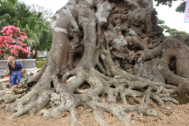 Song sanh 15 tỷ của đại gia Hà Nội đẹp tới mức nào?-7