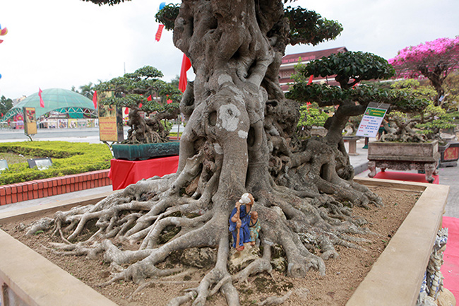 Song sanh 15 tỷ của đại gia Hà Nội đẹp tới mức nào?-8