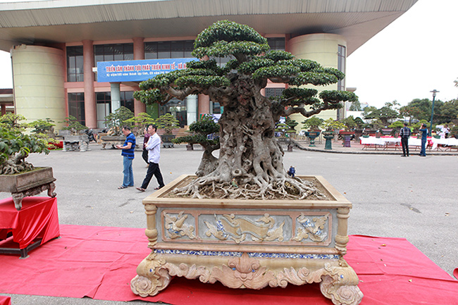 Song sanh 15 tỷ của đại gia Hà Nội đẹp tới mức nào?-9