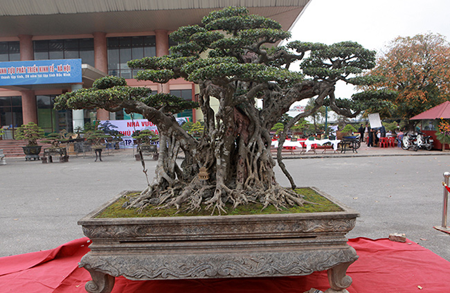 Song sanh 15 tỷ của đại gia Hà Nội đẹp tới mức nào?-10