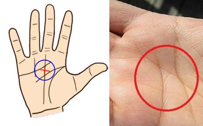 Phụ nữ có 3 đường chỉ tay này chính là của hiếm, sau 30 tuổi nghèo mấy cũng hóa giàu, con cái đề huề-2