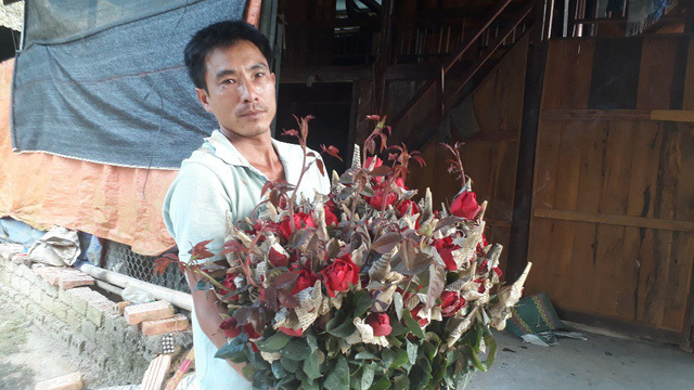 Rời Thủ đô lên phố núi trồng hoa hồng, chàng trai rinh gần 1 tỷ mỗi năm-5