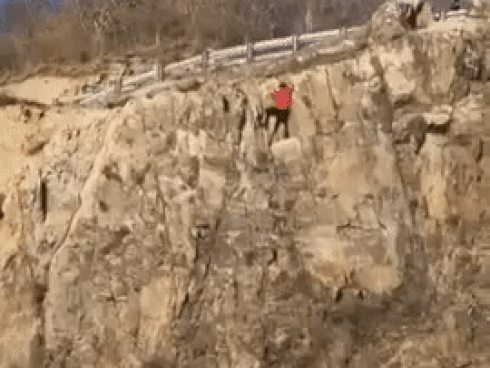 Clip: Nam thanh niên Vũng Tàu liều lĩnh leo núi đá cheo leo bằng tay không rồi bất ngờ rơi xuống khiến nhiều người thót tim-3