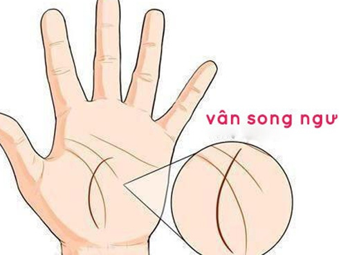 Phụ nữ: 1 phút nhìn đường tài vận trên tay, biết ngay số mệnh giàu hay nghèo, hôn nhân hạnh phúc hay khổ đau-5