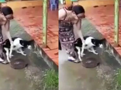 Bi hài bị cảnh sát bắt vì...cãi nhau tay đôi với chó-1